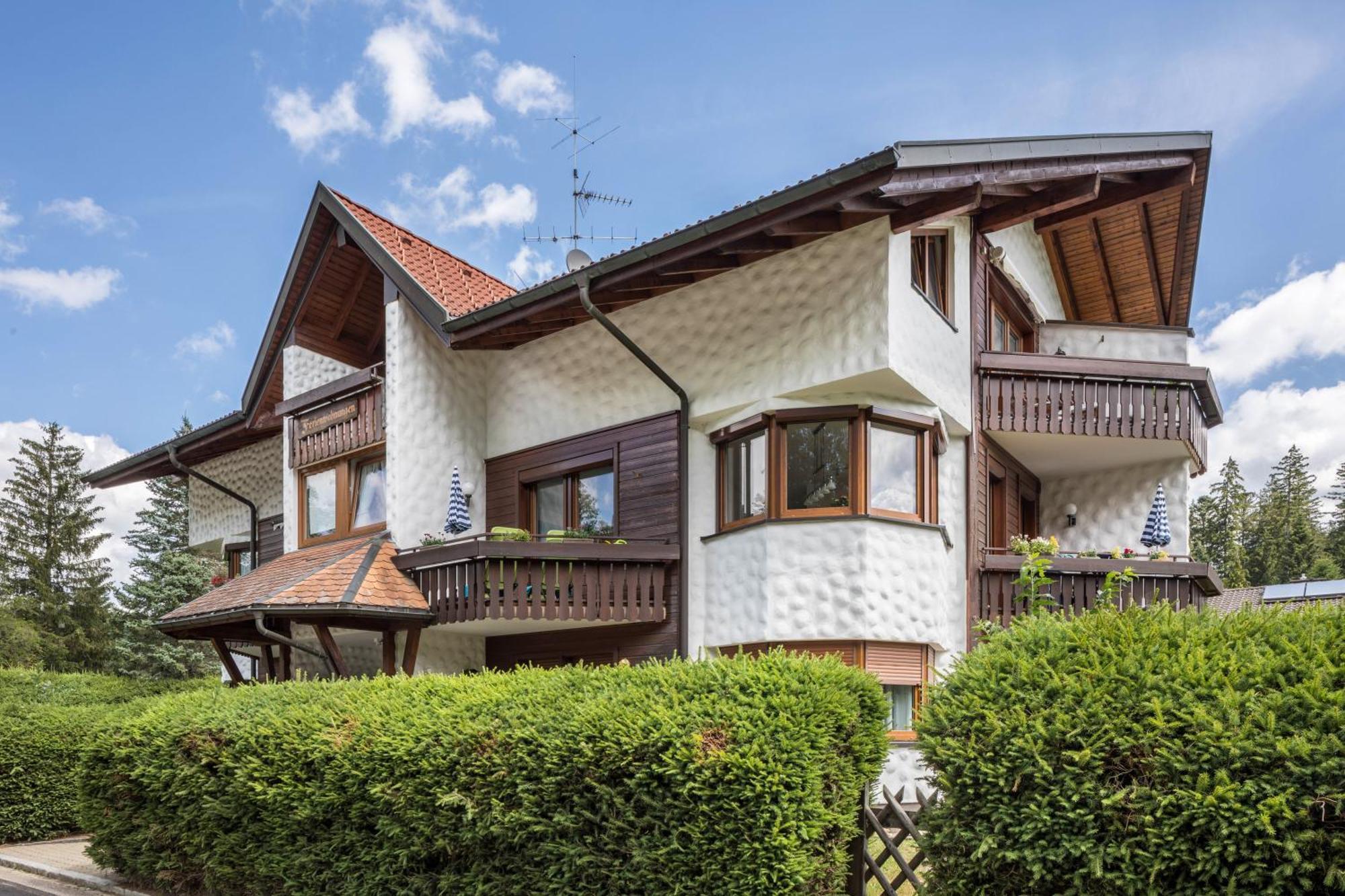 Apartment Friedolin Titisee-Neustadt